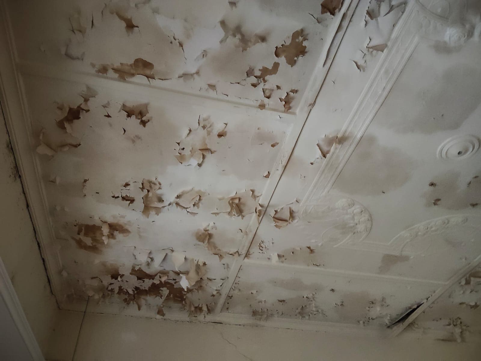 gallery/damagedceilingrestoration-