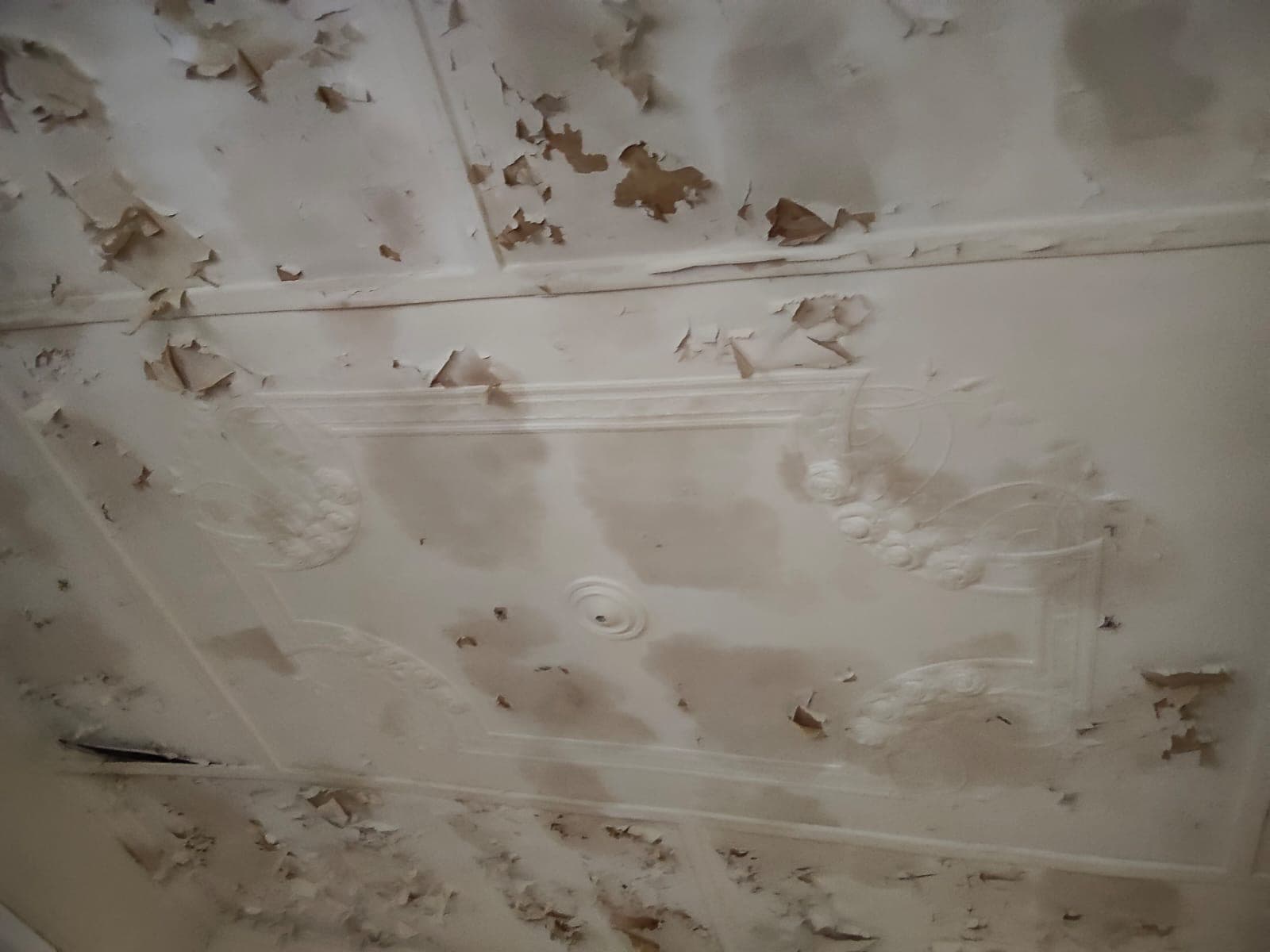 gallery/damagedceilingrestoration-