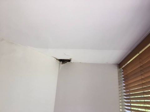 Before | CEILING AND WALL REPAIRS (0)