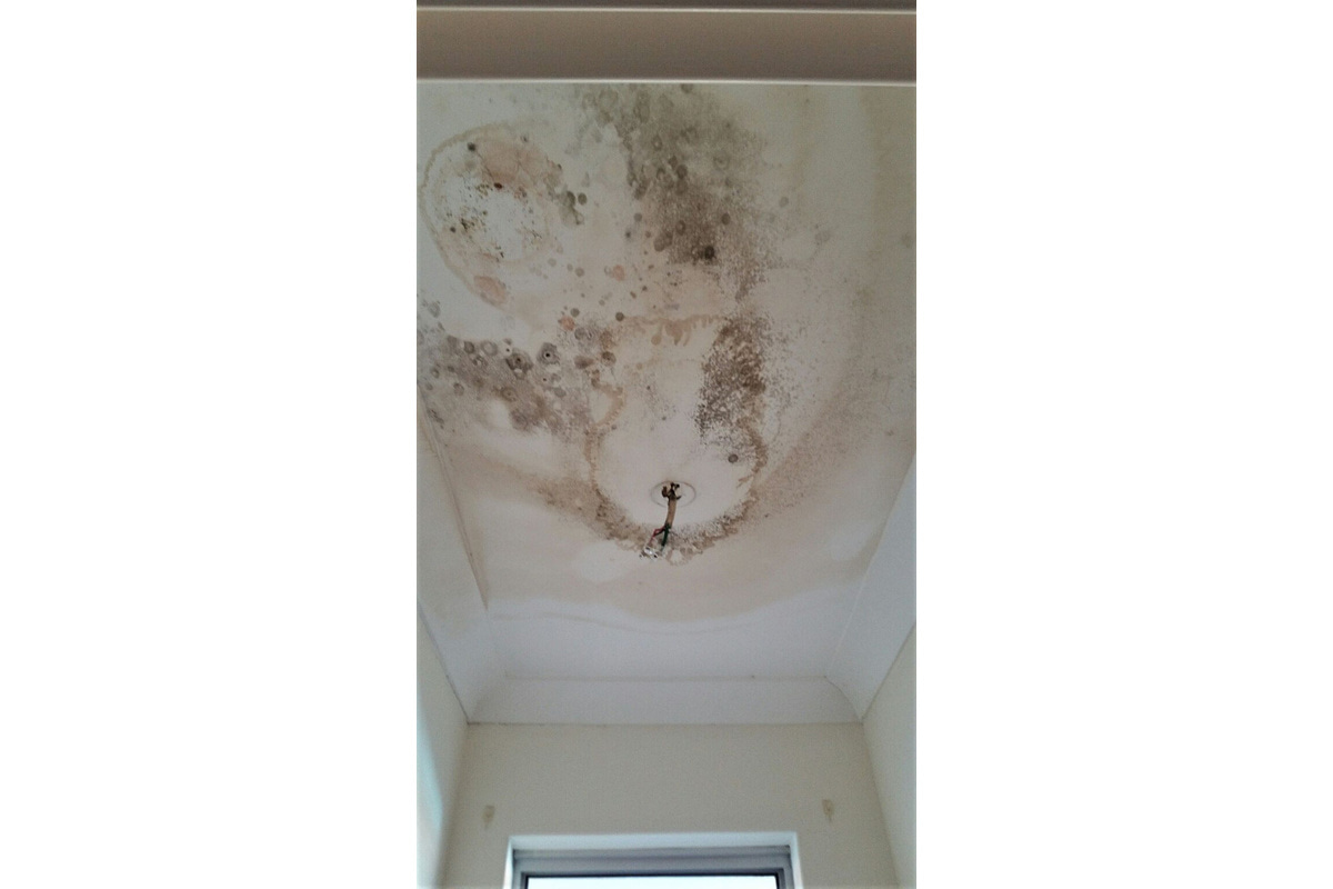 Before | We repair ceilings right across Perth (17)