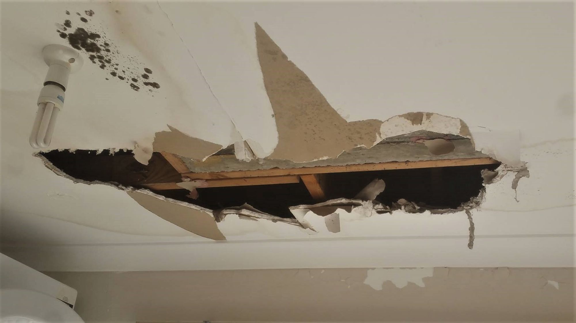 Before | We repair ceilings right across Perth (11)