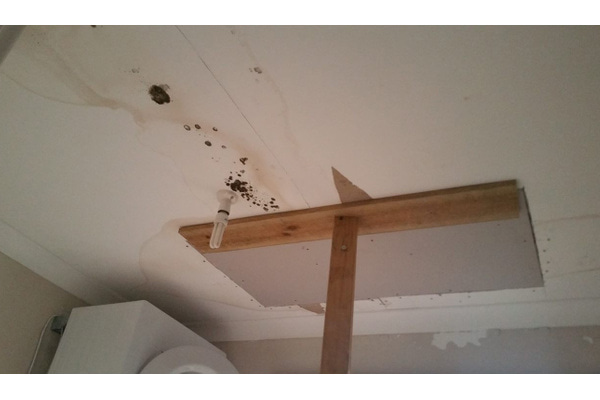 During | WATER DAMAGED CEILING (1)